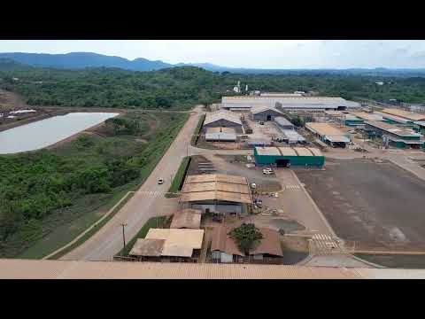 Projeto onça puma em ourilandia do Norte 