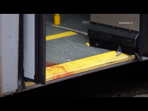 Deadly Shooting on Metro Bus Leaves Suspects on the Run in LA