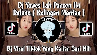 Download lagu DJ YOWES LAH MUNGKIN IKI PANCEN DALANE | DJ KELINGAN MANTAN MOCIL FVNKY VIRAL TIKTOK TERBARU 2023 ! mp3
