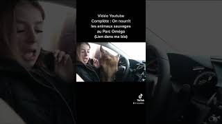 Nouvelle vidéo youtube : Je me fais attaquer par des Wapitis #shorts #drole #animaux #vlog #youtube