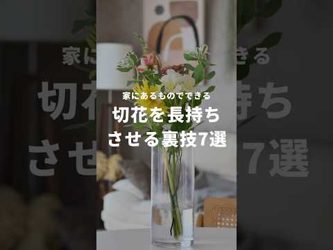 蘭の花を長持ちさせるための適切なケア  庭園