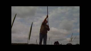 westward casting front view.wmv