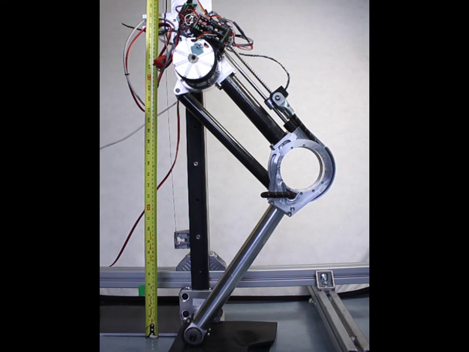 Jumping robot with active and passive compliance. Energy efficiency is achieved by using a bungee cord for energy storage during continuous hopping.