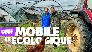 Download lagu He Designs and Builds His Own Mobile Henhouses mp3 Download lagu He Designs and Builds His Own Mobile Henhouses mp3