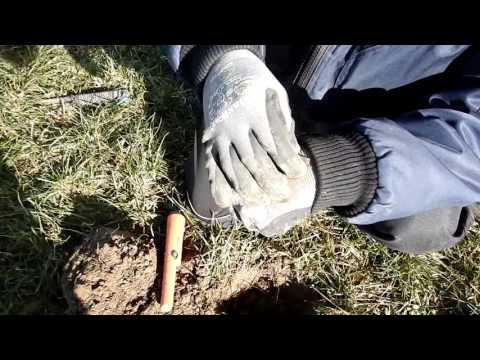 Sondeln Robert und Gerhard Teil 1