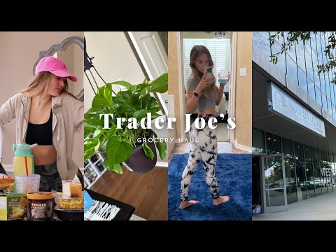 Massive Trader Joe's Grocery Haul | 2023