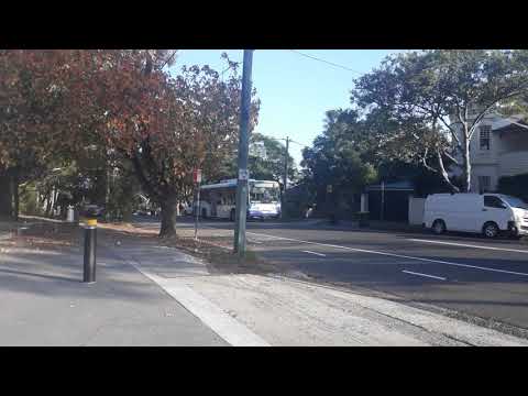 State Transit 3833 Scania L113CRL Ansair Orana on 255 to Chatswood