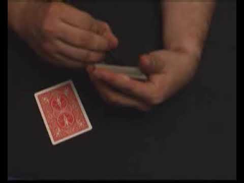 Metamorphose by Mickael Chatelain