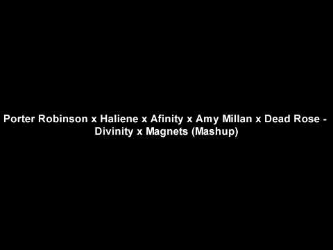 Divinity x Magnets (Mashup) - Porter Robinson, HALIENE, Afinity, Dead Rose, Amy Millan