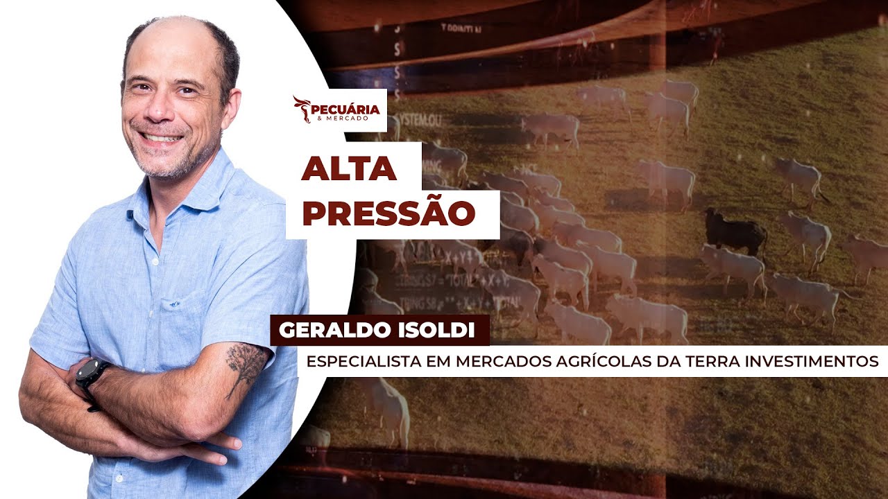 Price of beef cattle may lose support of R$300 with the increase in supply in the short term