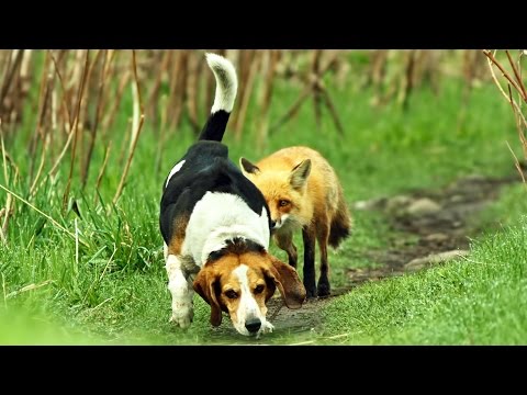 Lange vs Gareth Emery - Another You Another Me (Original Mix) [VANDIT]