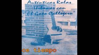 el gato callejero   hace tiempo