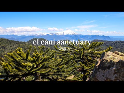 Hiking in El Cani Sanctuary in Chile | Cinematic Travel Film