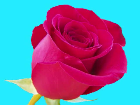 Lug Txaj - Xaav Tas Tsi Tuaj Cuag Los Ncu Koj Lub Suab Luag