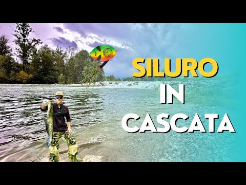 Il Rotante Colpisce ! Pesca al Siluro dopo le Prime Piogge