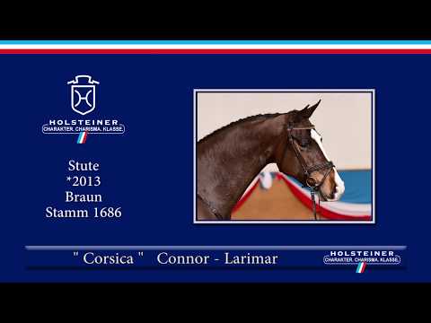 Holsteiner Frühjahrsauktion 2019 | Nr. 118 - Corsica v. Connor - Larimar