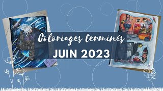 Coloriages terminés Juin 2023 - Finished Pages