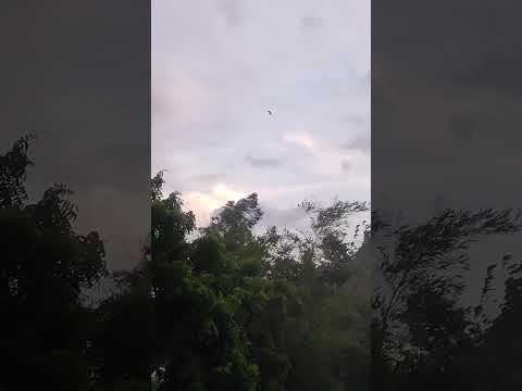 sawan aya badal chhay nature🌿🍃