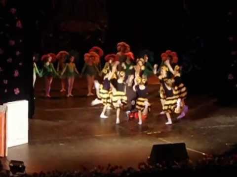 copilarie dance 2013