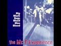Mr. T Experience - Supersonic