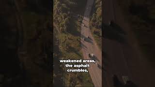 The Future of Roads: Self-Healing Cement