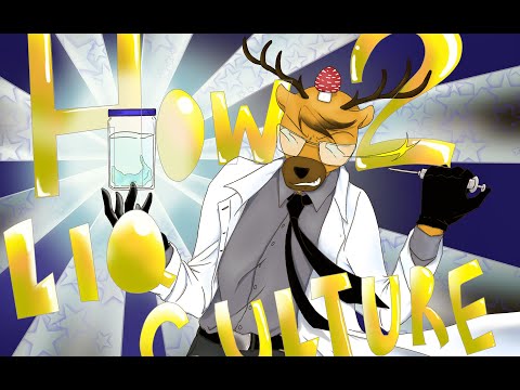 Liquid Culture Basics