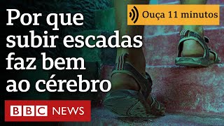 Miniatura do vídeo