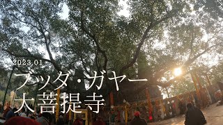 ブッダ・ガヤー　大菩提寺（マハーボディー寺院）