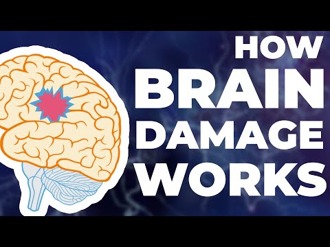 How Brain Damage Works
