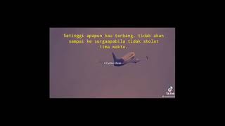 Download lagu story wa sedih pesawat SRIWIJAYA AIR Sj-182 #short mp3