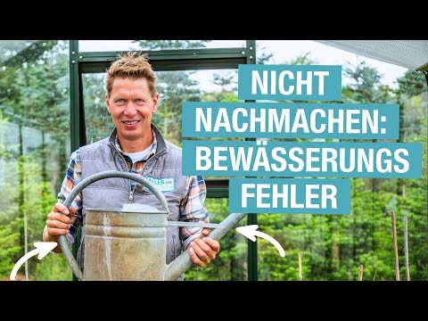 Vermeide diese Bewässerungsfehler im Sommer