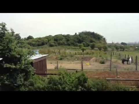 Chadwell St Mary Grays Essex travel