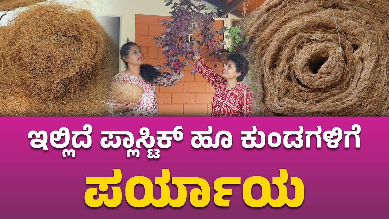 ಇಲ್ಲಿದೆ ಪ್ಲಾಸ್ಟಿಕ್ ಹೂ ಕುಂಡಗಳಿಗೆ ಪರ್ಯಾಯ