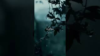 Download lagu Kodi Aruvi song 💙|Lyrics WhatsApp Status|Tamil Love Song|Subscribe for more videos mp3