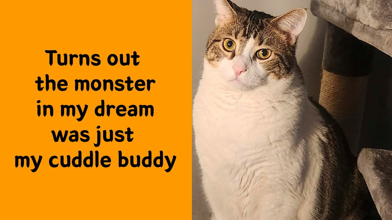 50 Animal Memes So Funny You’ll Forget You Had A Bad Day