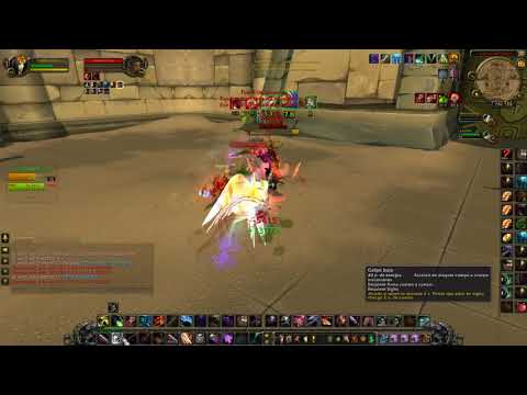 Wow  rogue and paladin vs rogue and warrior