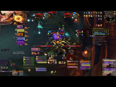 +24 Temple of Sethraliss Protection Paladin POV [Forti, Sanguine, Grievous]