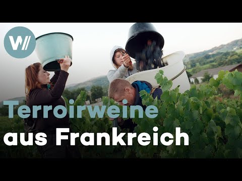 Frankreich: Terroirweine in bester bäuerlicher Tradition