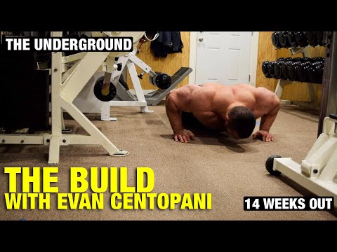 download lagu mp3 mp4 Animal Bodybuilding, download lagu Animal Bodybuilding gratis, unduh video klip Animal Bodybuilding