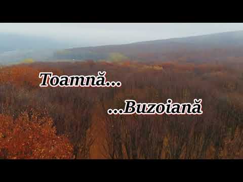 Sfârșitul toamnei în Munții Buzăului...