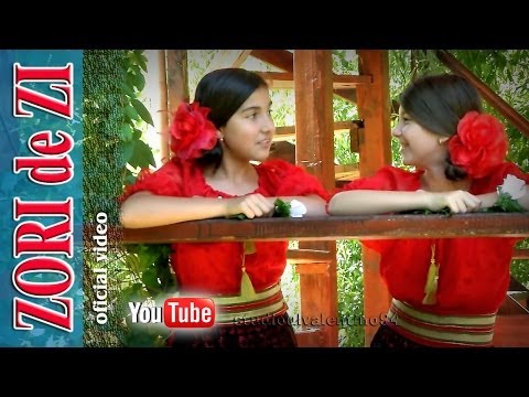 ZORI de ZI . Surioara (oficial video)
