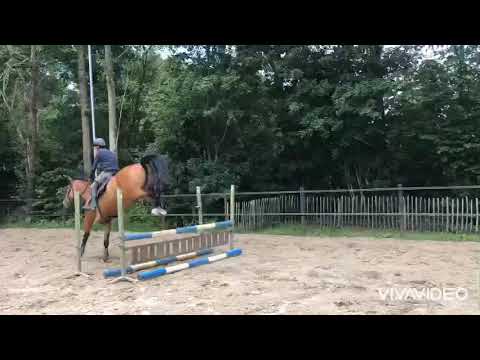 F-One USA x Numero Uno