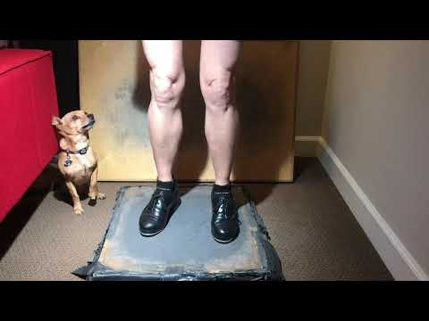 Miss Moonshine’s Victory Strike Buckdance (with Celestial Reinforcements and Mr B and Paula White)