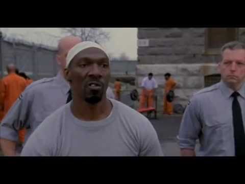 Meet Herb - the black brother of Chuck Norris