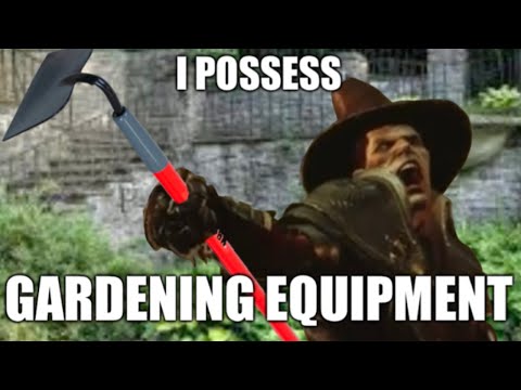 Saltzpyre's Hoes (Warhammer: Vermintide 2 meme)