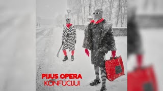 Pijus Opera – Konfucijui