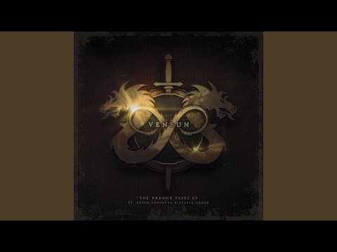 Chasing Summers (feat. David Vendetta, Sylvia Tosun)