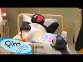 Pingu Has A Sore Tummy Pingu Official Channel Cartoons For Kids