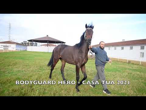 BODYGUARD HERO   CASA TUA 2021
