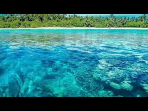 Lavelua Faka lelei mai (Manaia)